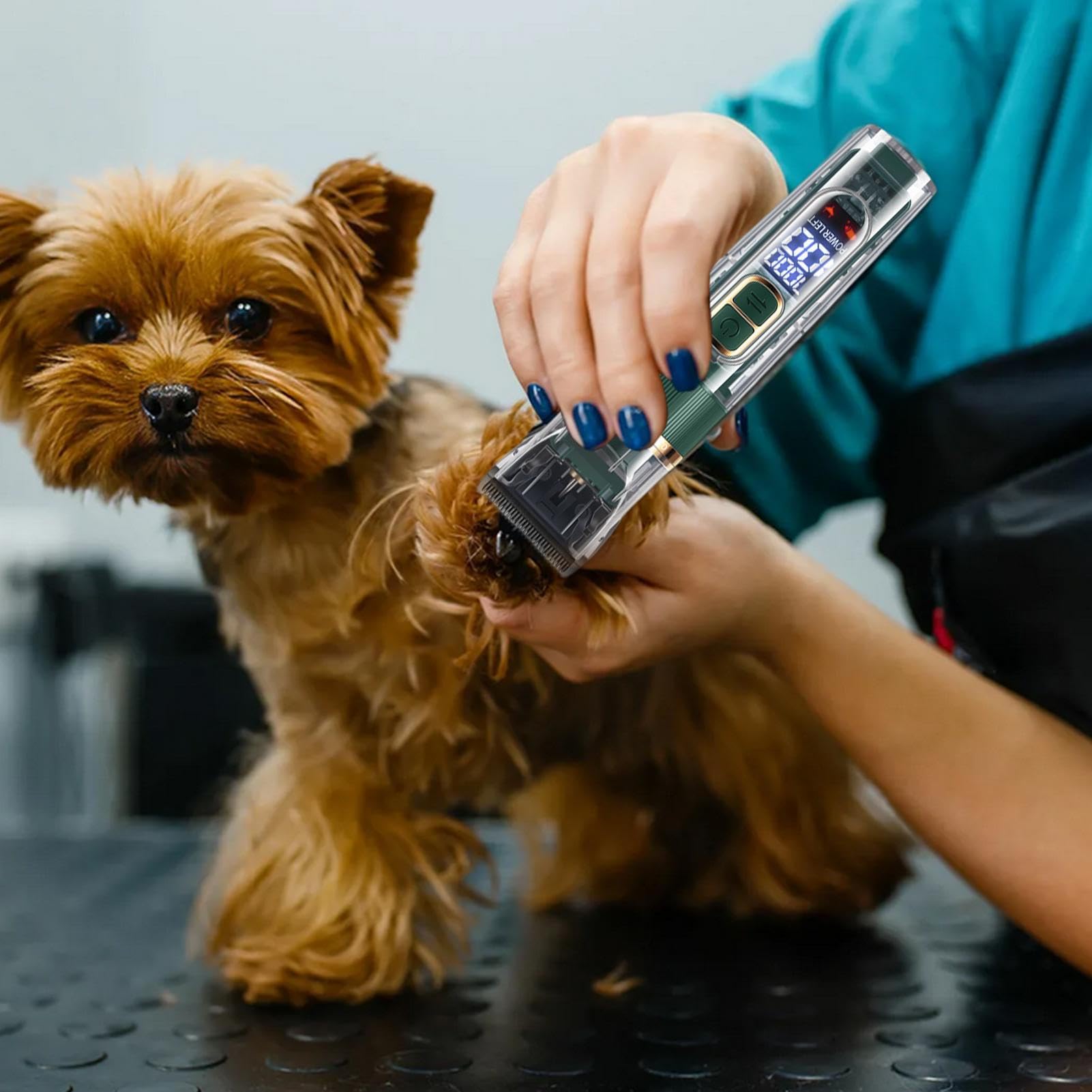 Rasori Per La Toelettatura | Trimmers Cattura Cordire Clippers Cacco | Set Di Strumenti Per La Toelettatura Per Animali Domestici, Scarichi Di Rivestimenti Digitali, Kit Di Toelettatura Per Gatti Per