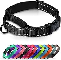 Coleira Martingale acolchoada para cães | Coleiras de neoprene Martingale | Coleira refletiva de nylon Martingale | Martingale ajustável para cães pequenos, médios e grandes