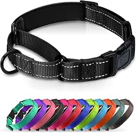 Coleira Martingale acolchoada para cães | Coleiras de neoprene Martingale | Coleira refletiva de nylon Martingale | Martingale ajustável para cães pequenos, médios e grandes