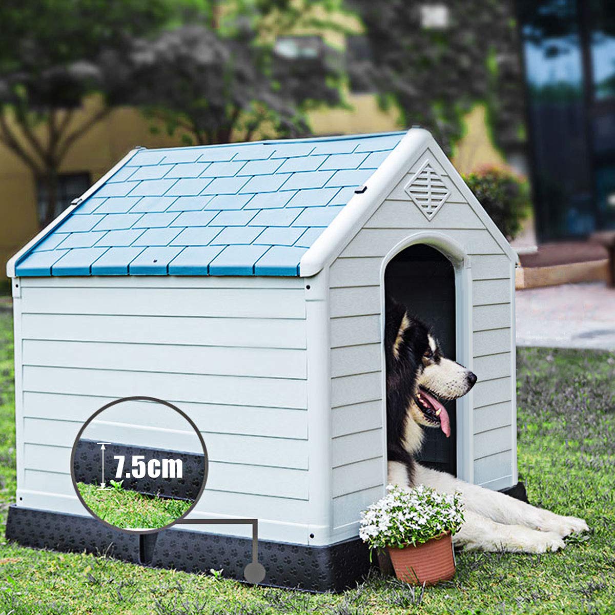 GYMAX Casa Perro, Caseta para Perros Exterior para Pequeños y Medianos, 72,5 x 66 x 70,5 cm con Suelo Elevado, Sistema de Ventilación y Estacas de Anclaje, Blanco + Azul