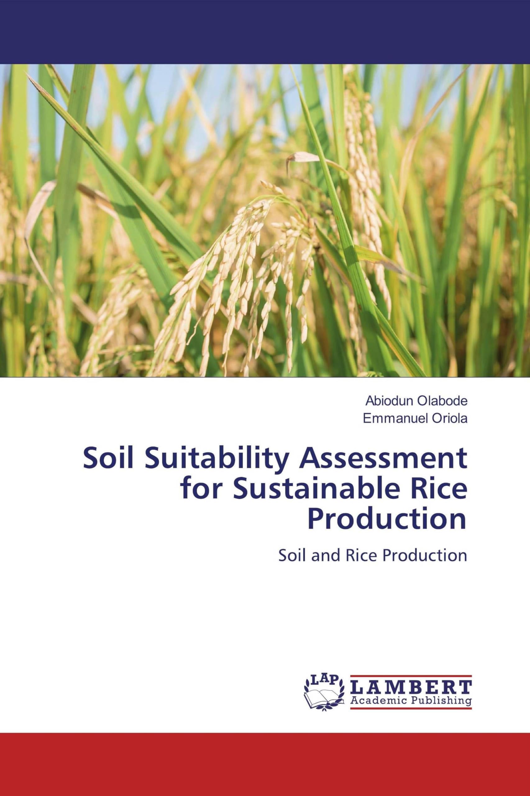 Soil Suitability Assessment for Sustainable Rice Production: Soil and Rice Production