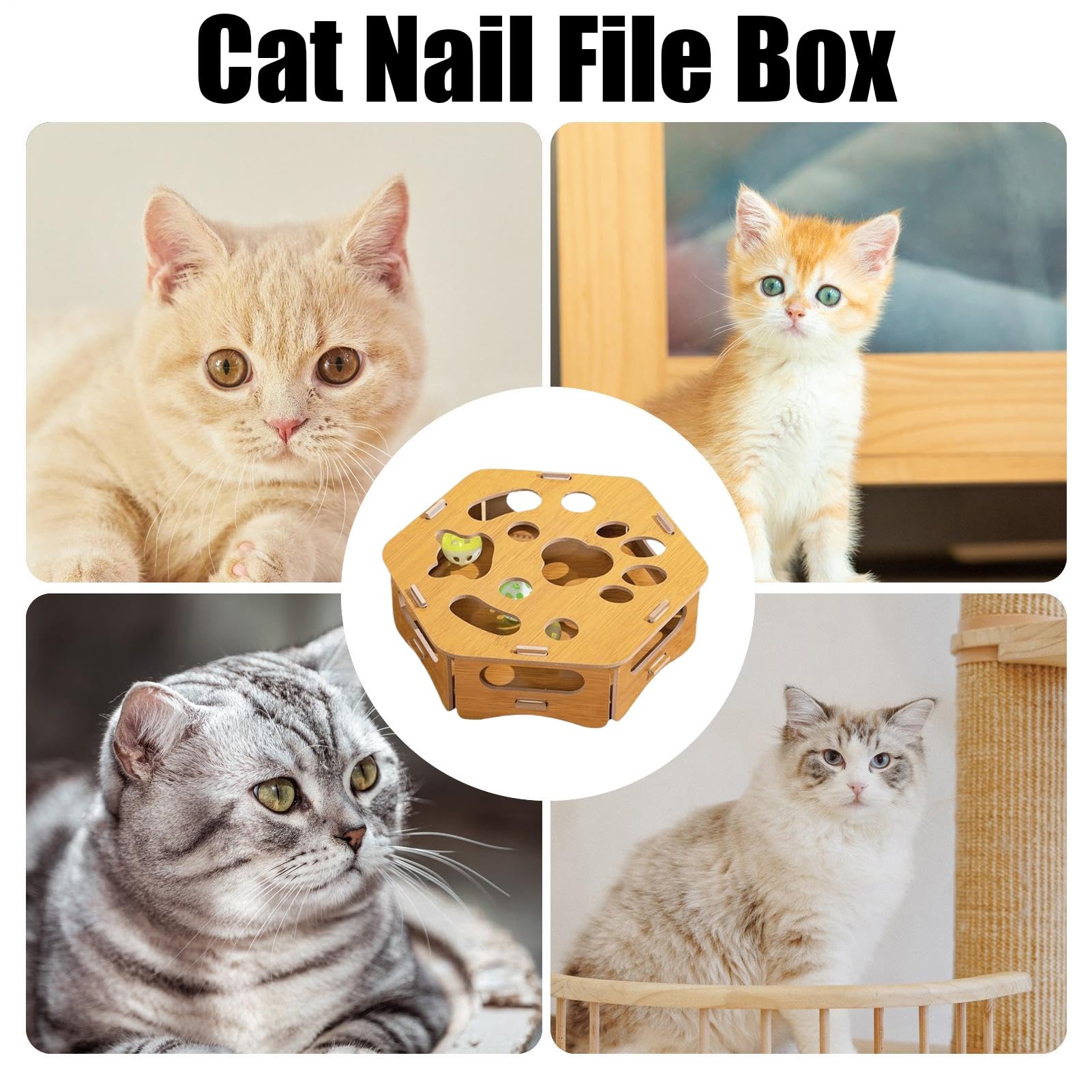 Générique Coffre à Griffoir Puzzle pour Chat Jouet en Bois d'Enrichissement
