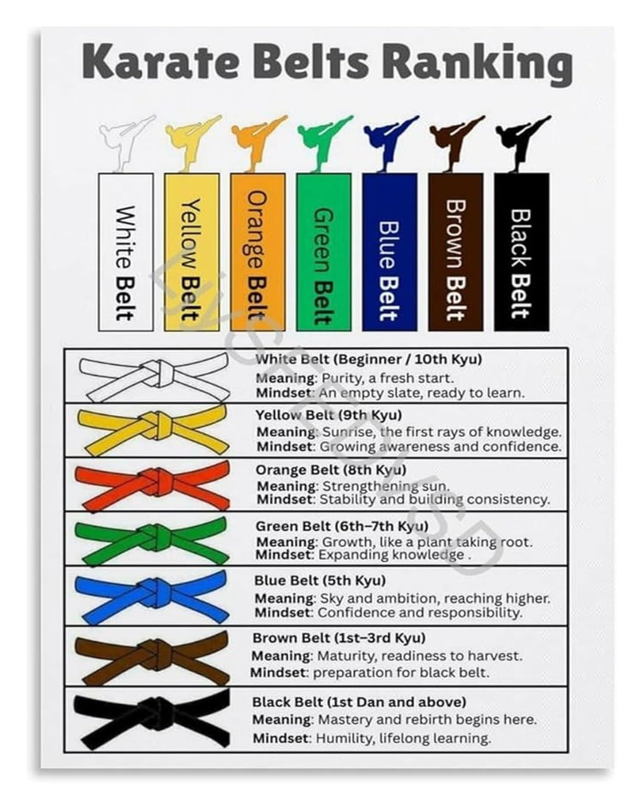 BIRXPMOS Complete Guide to Karate Belt System and Symbolism Educational Poster Canvas for Karateka Decor(Framed,16x24inch(40x60cm))