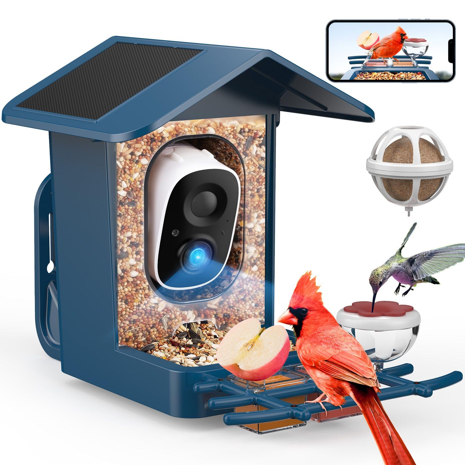 PeckCam® Mangiatoia intelligente per uccelli con fotocamera, telecamera per birdwatching con intelligenza artificiale per identificare le specie di uccelli, cattura automatica, blu