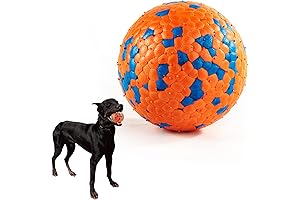 Indestructible Wunder Ball for Aggressive Chewers