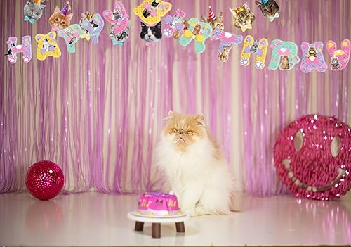 Miniatura 8 de TSJ 16 adornos para cupcakes de gato, decoración de pastel de cumpleaños para gatos, decoración de fiesta temática de gatitos, palitos para pastel