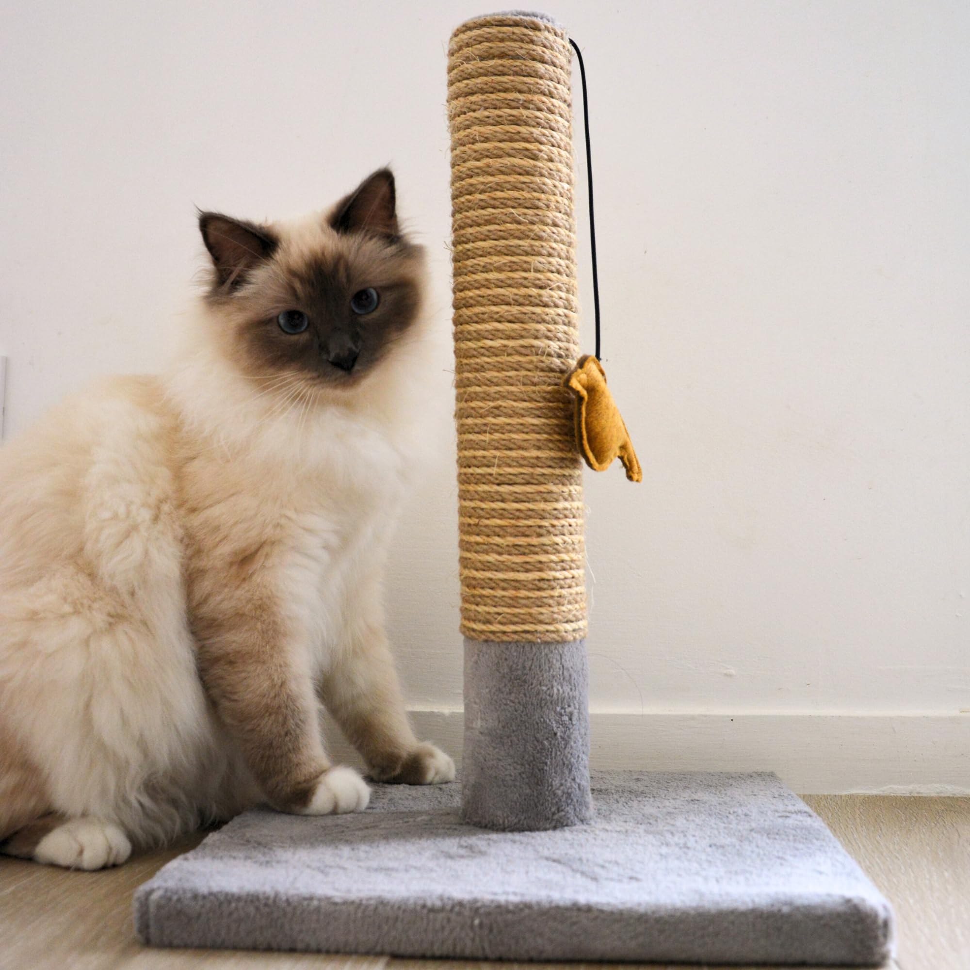 Tyrol | Tiragraffi per gatti 42 cm | Tiragraffi gatto in sisal e poliestere resistente, forma semplice con giocattolo uccello, raschietto gatto dal design moderno, colore grigio chiaro, 30 x 30 cm