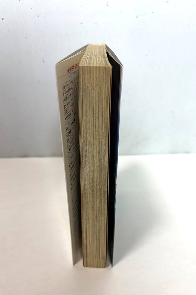 湾岸MIDNIGHT 25 (ヤングマガジンコミックス) | 楠 みちはる |本