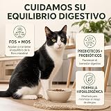 Ver la foto 5