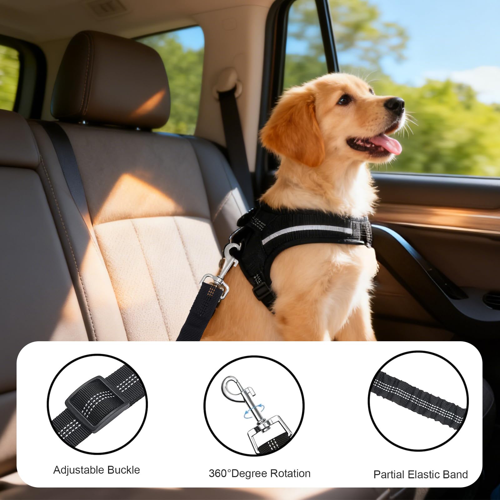 Sangle de Sécurité pour Chien avec Amortisseur Élastique, Mousqueton Solide et Longueur Réglable, Compatible avec Toutes Les Voitures pour Chien et Chat, pour Un Voyage Sûr