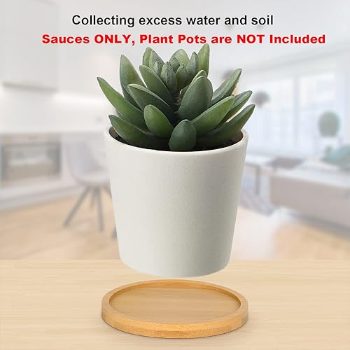 Miniatura 9 de Cosmos 4 piezas de platillo de bambú para suculentas, bandeja de drenaje con borde elevado para macetas pequeñas de 3.5 pulgadas (forma cuadrada)