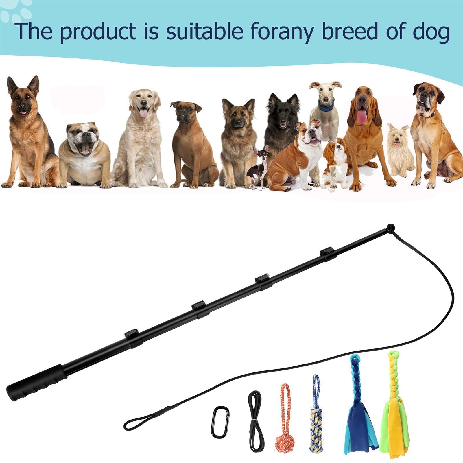de juguete interactiva para perros | de juguete para mascotas retráctil, equipo de entrenamiento de agilidad, herramienta de ejercicio, accesorio de juego al aire libre para perros