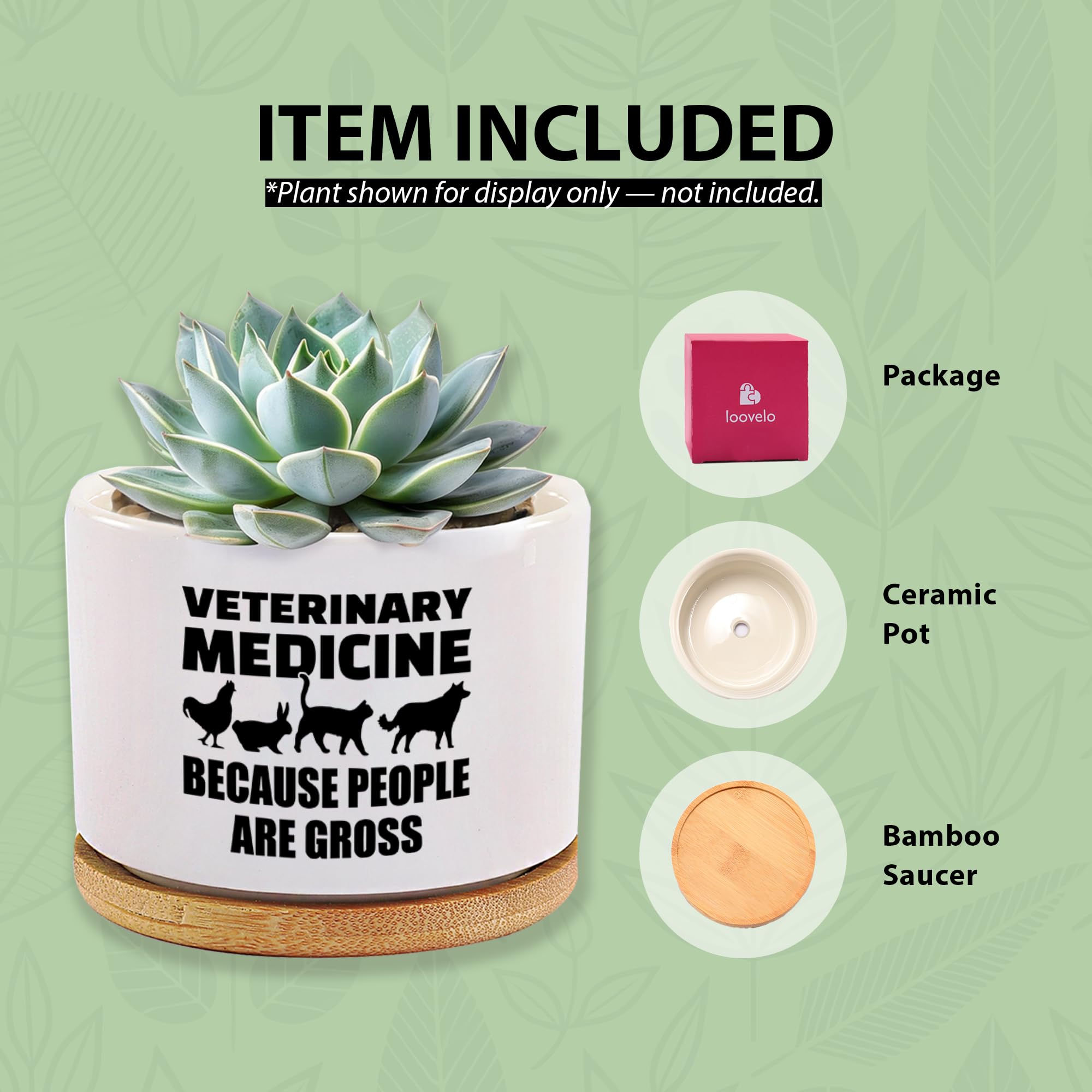 Veterinary Medicine Because People Are Gross Veterinarian Gifts Ceramic Succulent Plant Pot with Bamboo Tray Round Gift To Vet Animal Doctor Pet Lover Home Decor Plant Lover 3.5 Inch White (No Plants)