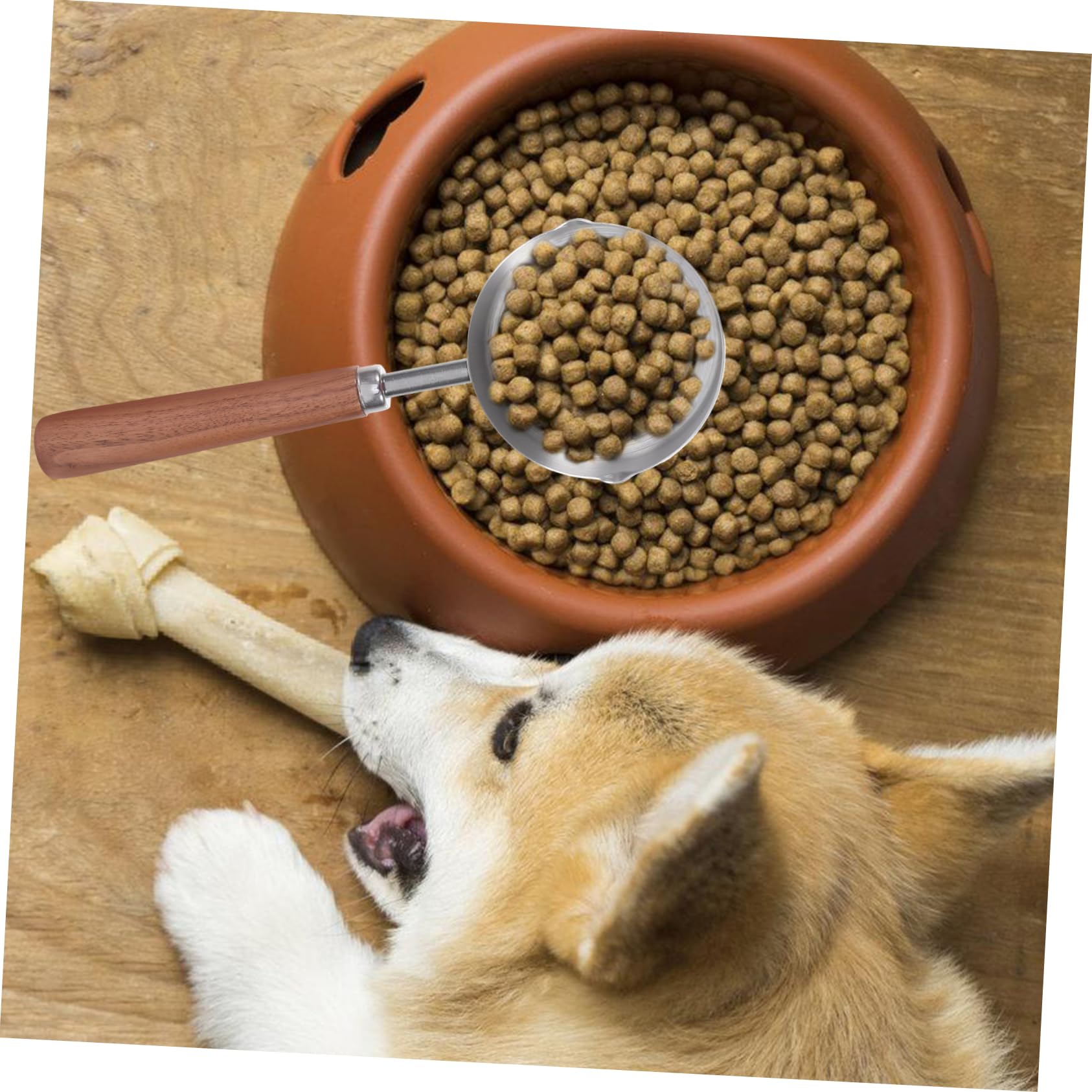 Toddmomy 4 Pièces Cuillère De Nourriture Pour Tasse À Mesurer Cuillère À Mesurer Réutilisable À Nourriture Pour Chat À Chat À er Pour