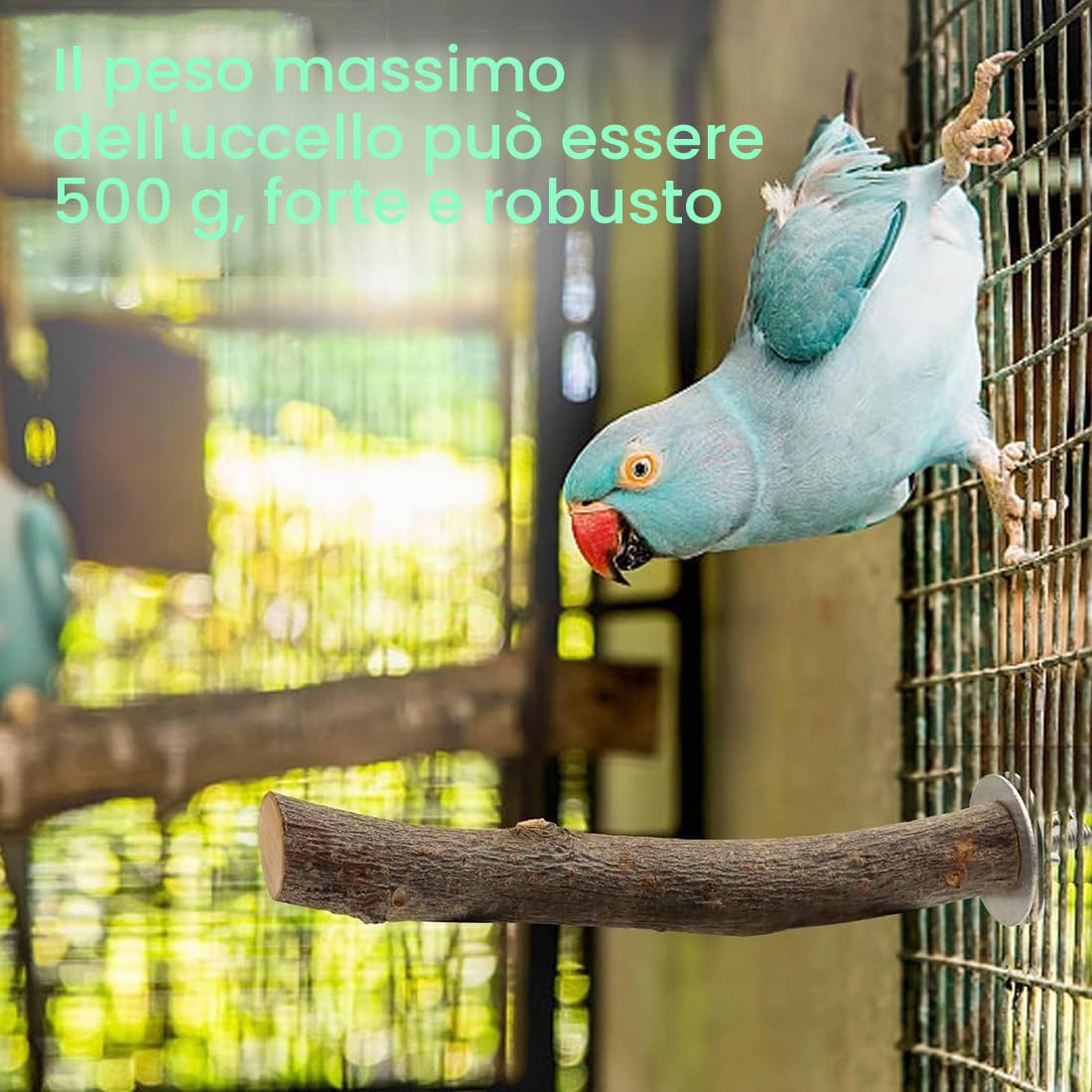 8 Pezzi Posatoi in Legno di Uccelli Trespoli in Legno Naturale per Pappagallo Posatoio per Pappagalli Trespolo Supporti per Uccelli per Fringuelli Pappagalli Calopsitte Parrocchetti
