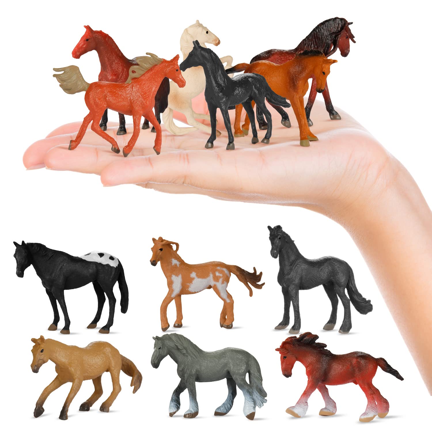 馬のポニー 馬の販売について | Grand pony club(グランド ポニー クラブ)