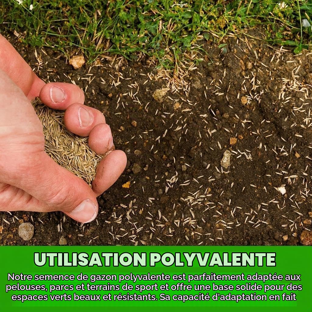 Graines résistantes GroundMaster pour pelouse de qualité supérieure Différentes tailles (10kg, 300m²)