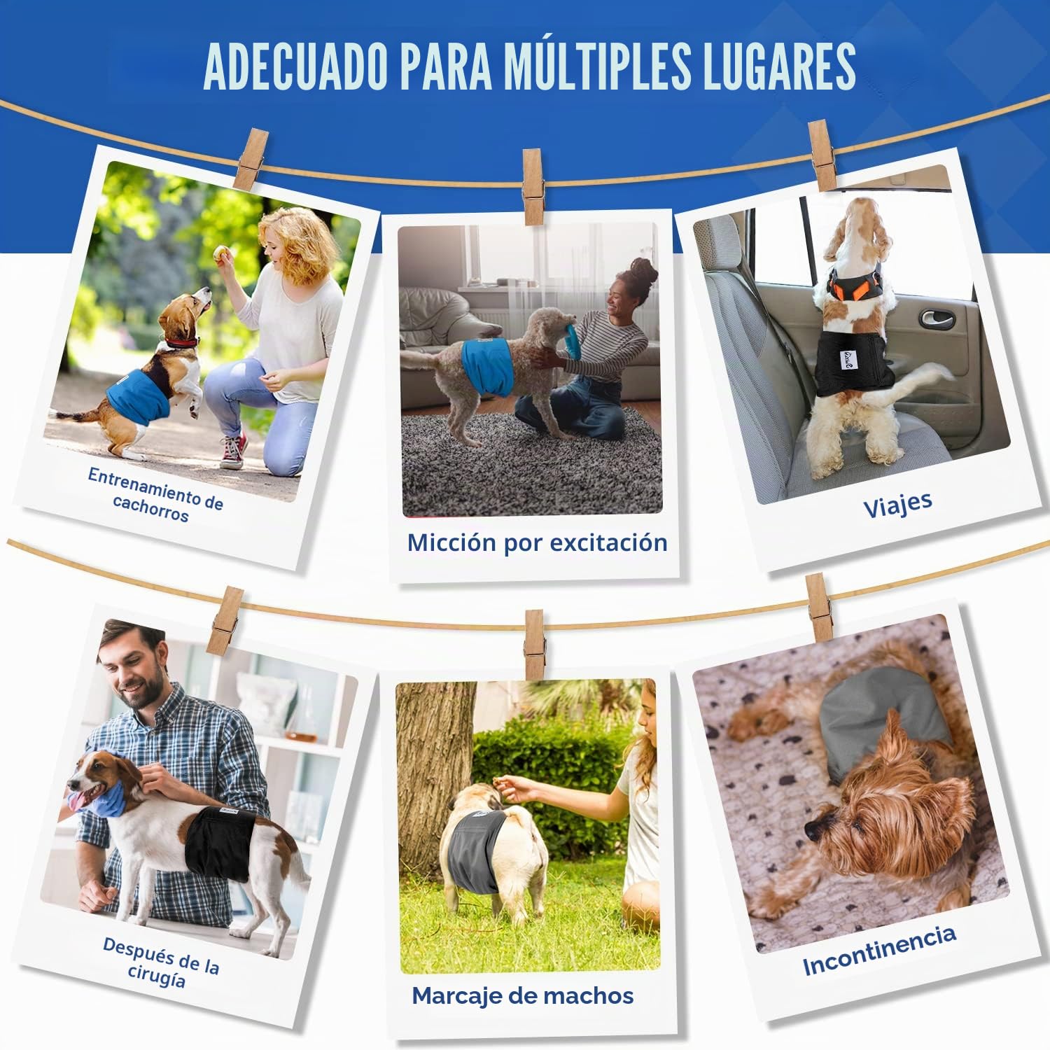 SlowTon 3 Pañales para Perros machos, Pañales Lavables Bandas para el Vientre para Perros machos y Cachorros Perritos, pañales Altamente absorbentes con Cierre Fuerte y Flexible, Paquete de 3