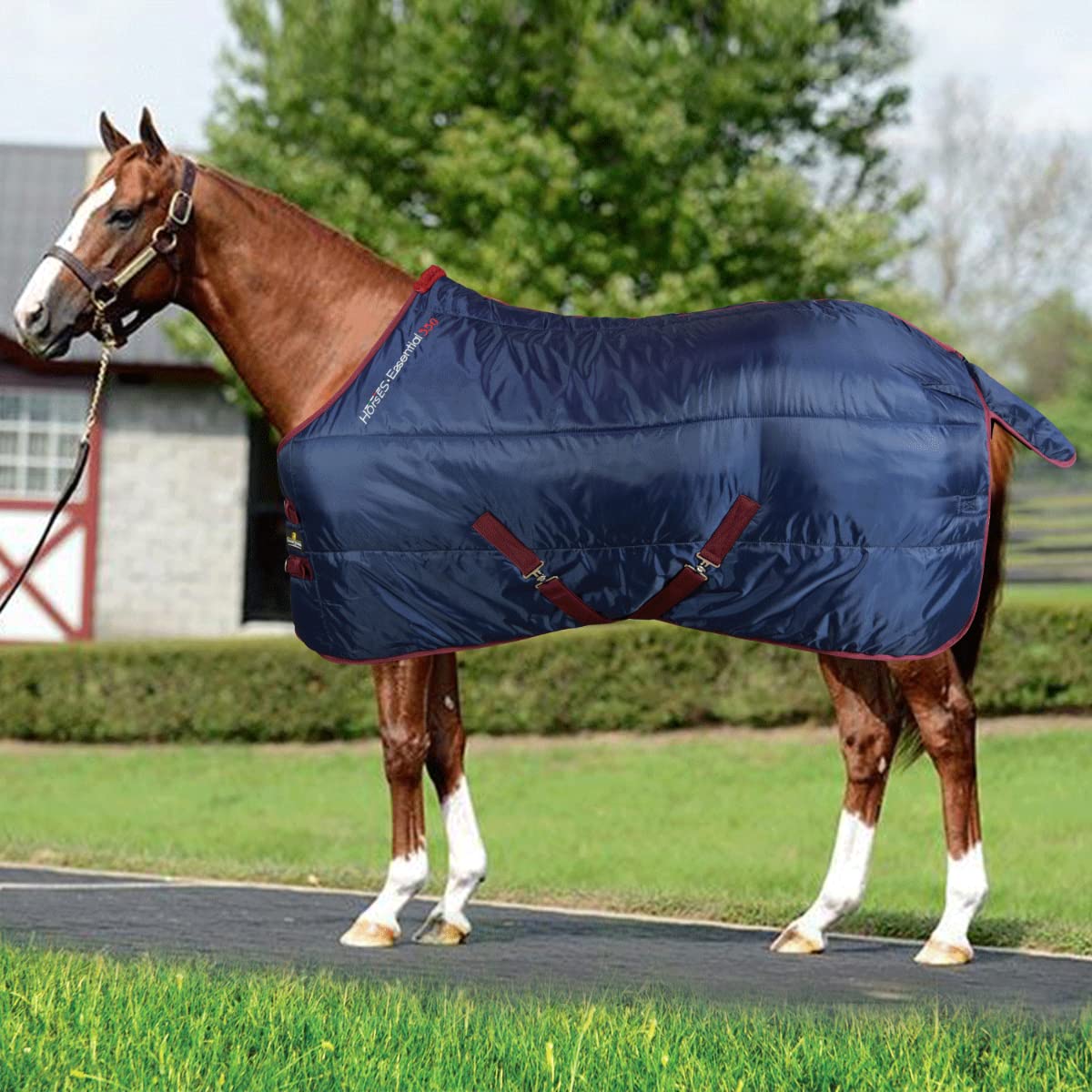 Horses Coperta Box Essential 350gr, Ottima Fattura, Utile per Proteggere Il Cavallo dagli Sbalzi di Temperatura, dalla Pioggia e dagli Insetti