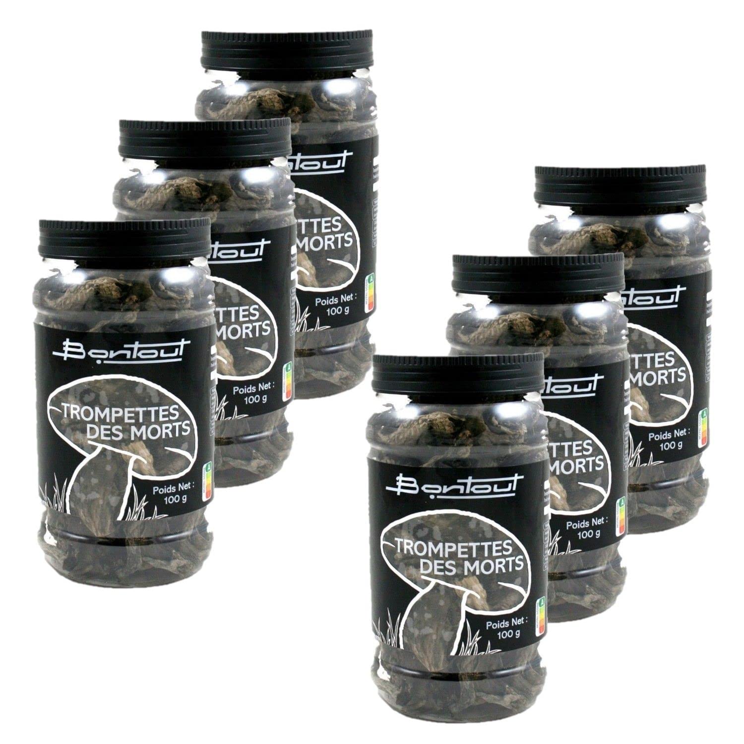 Lote de 6 trompetas – Maceta de 100 g