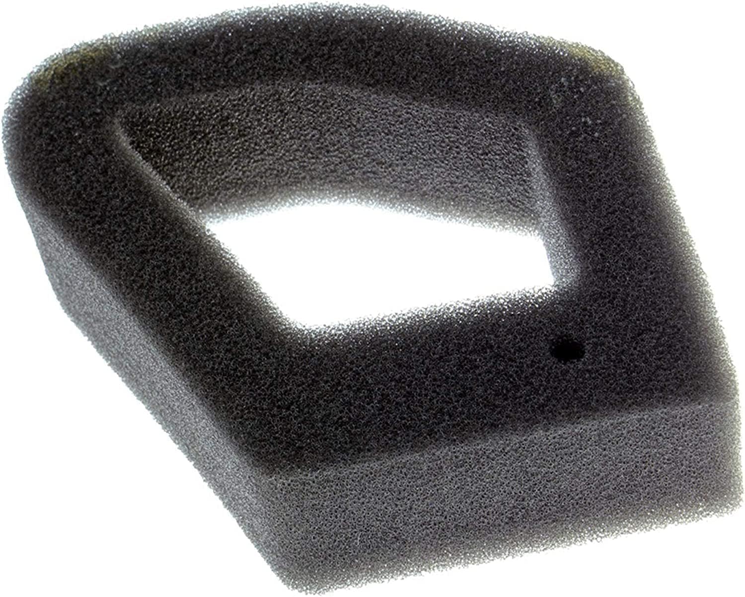 ⭐kks GMZ⭐ Amazon.com : Honda 17211-Z0Z-000 Element Air Cleaner : Power
