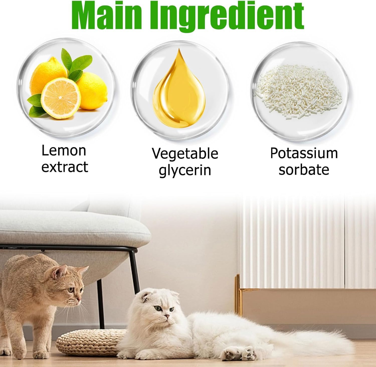 Antibiotiques pour Chats,Soulagement De Constipation pour Chats,Soulagement en Douceur De Constipation chez Les,Probiotiques Chien Chat 60ML,Dog Probiotics,Probiotiques Chien Démangeaisons