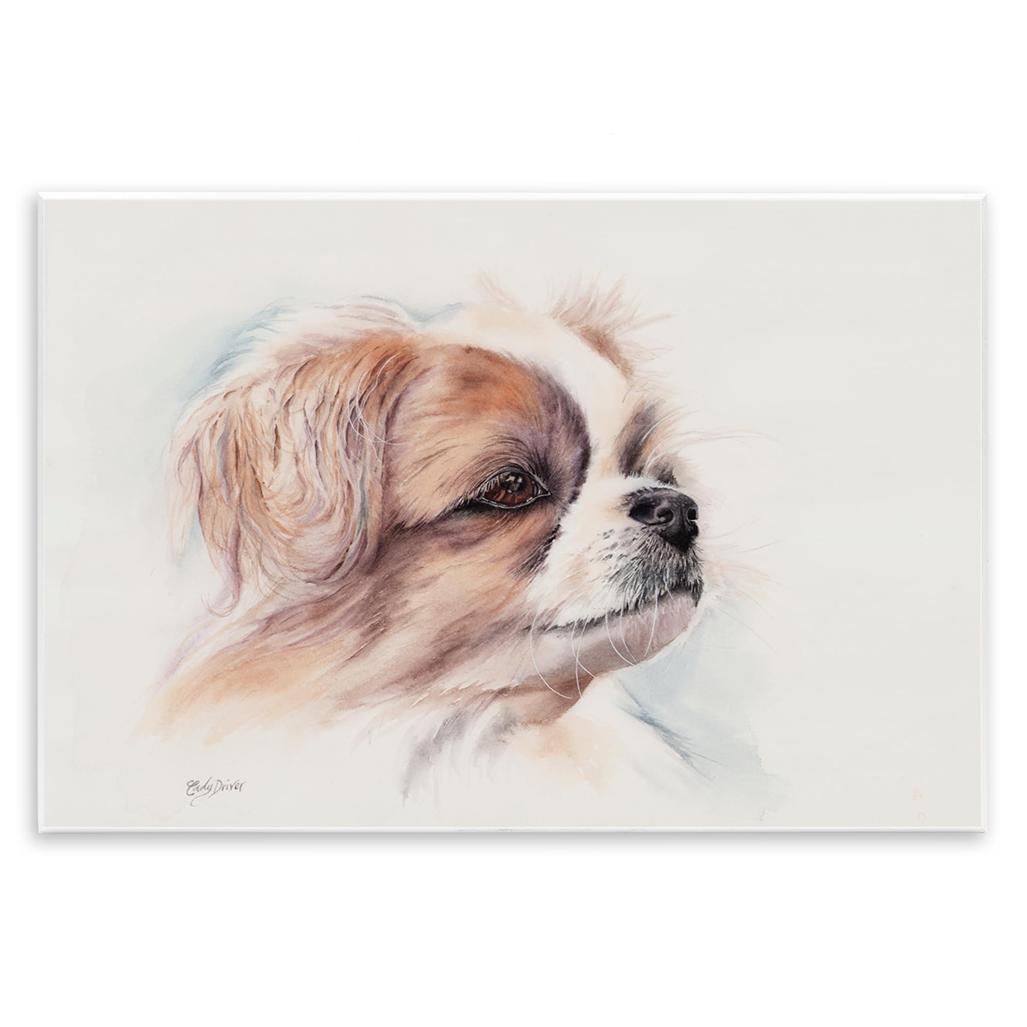 Stupell Industries Expressive Dog Face Portrait Wall Plaque Art, design by Cady Driver, 10 x 15