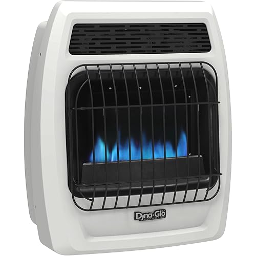 Dyna-Glo BFSS10LPT-2P 10,000 BTU Liquid Propane Blue Flame Thermostatic Vent Free Wall Heater, White