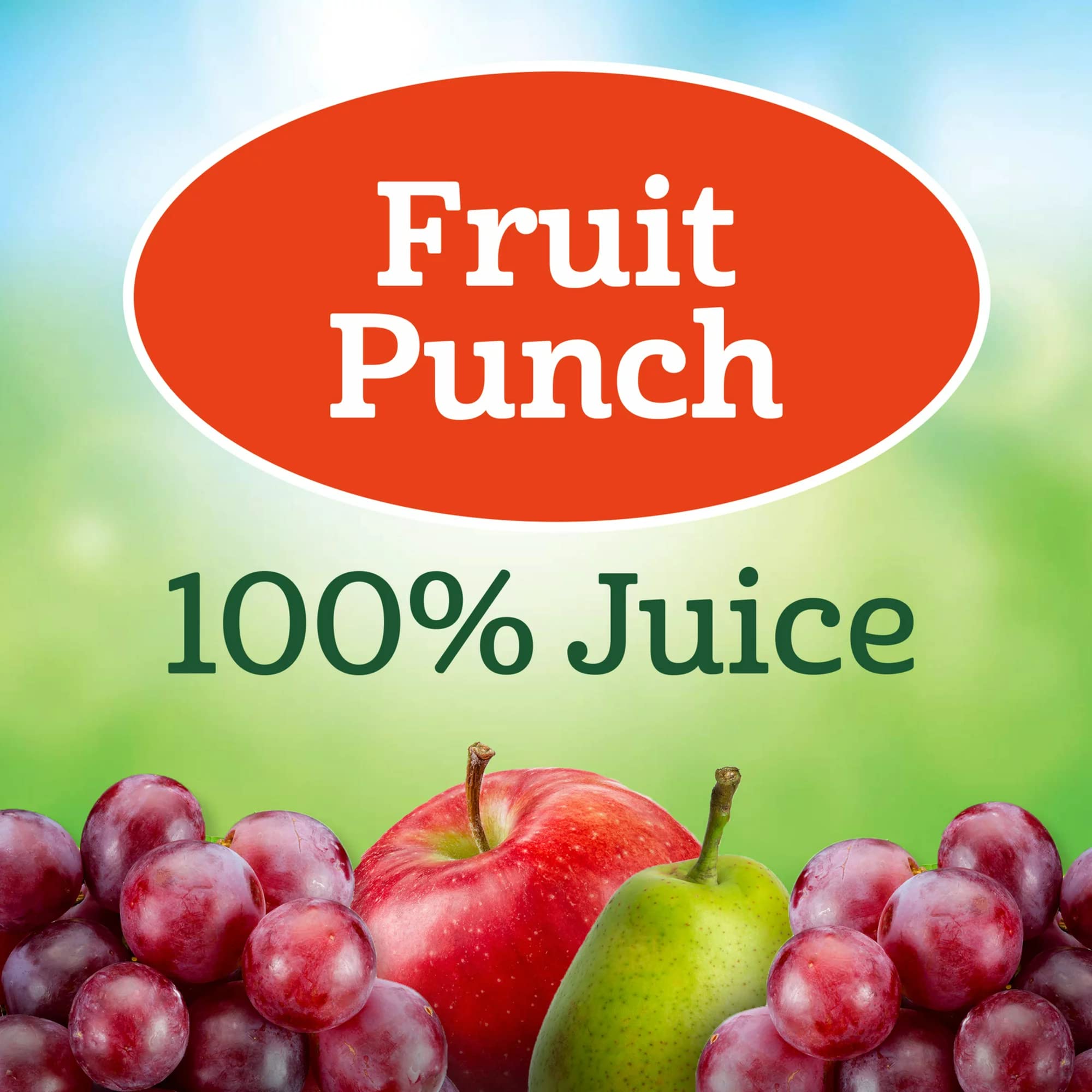 Amazon.com : Juicy Juice Fruit Punch, 100% Juice, Four 64 Fl Ounce