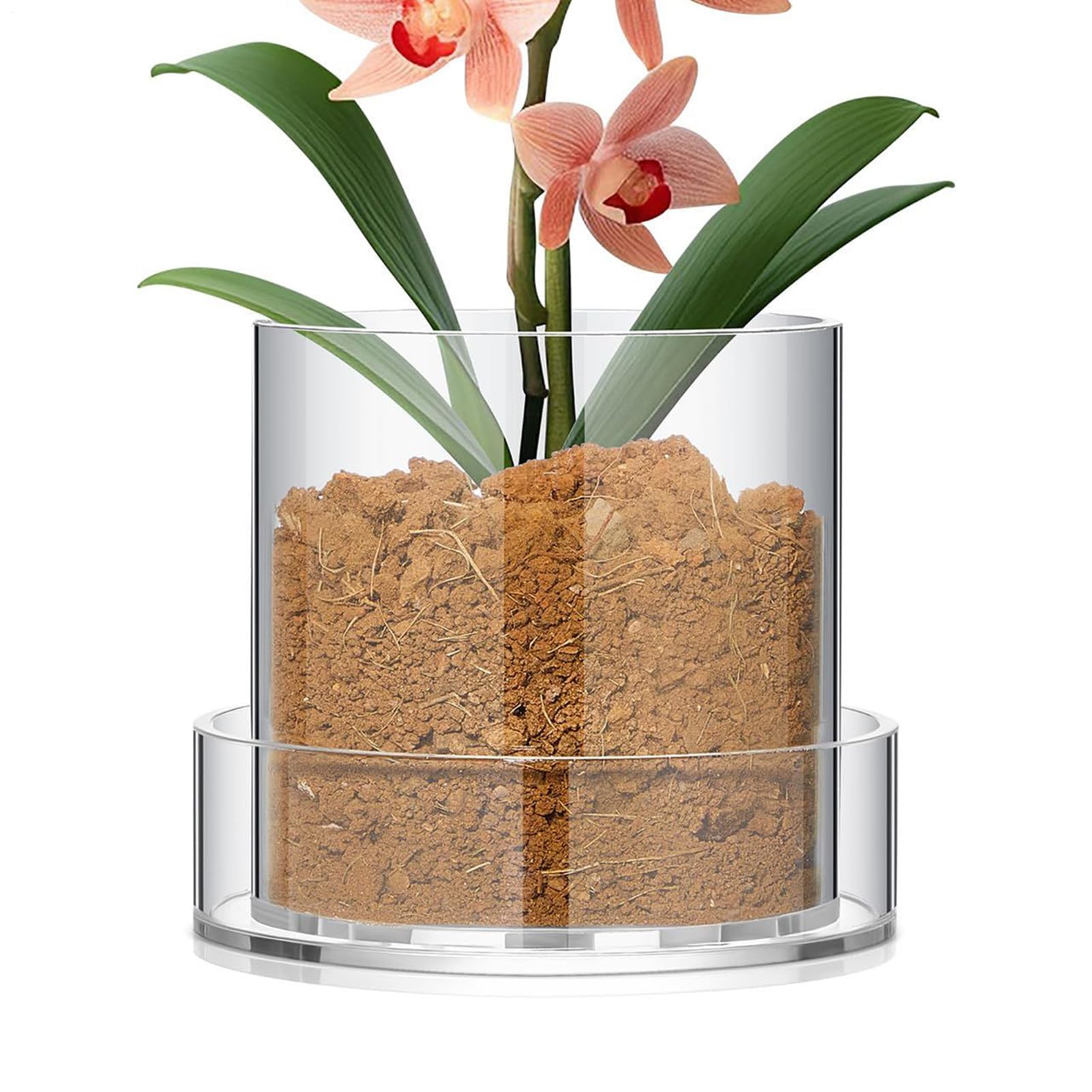 Generisch Clear Plant Pots with Drainage - Clear Planters | Transparent Container Cups with Saucer for Flowers Indoor Plants Growing and Growth — image 1