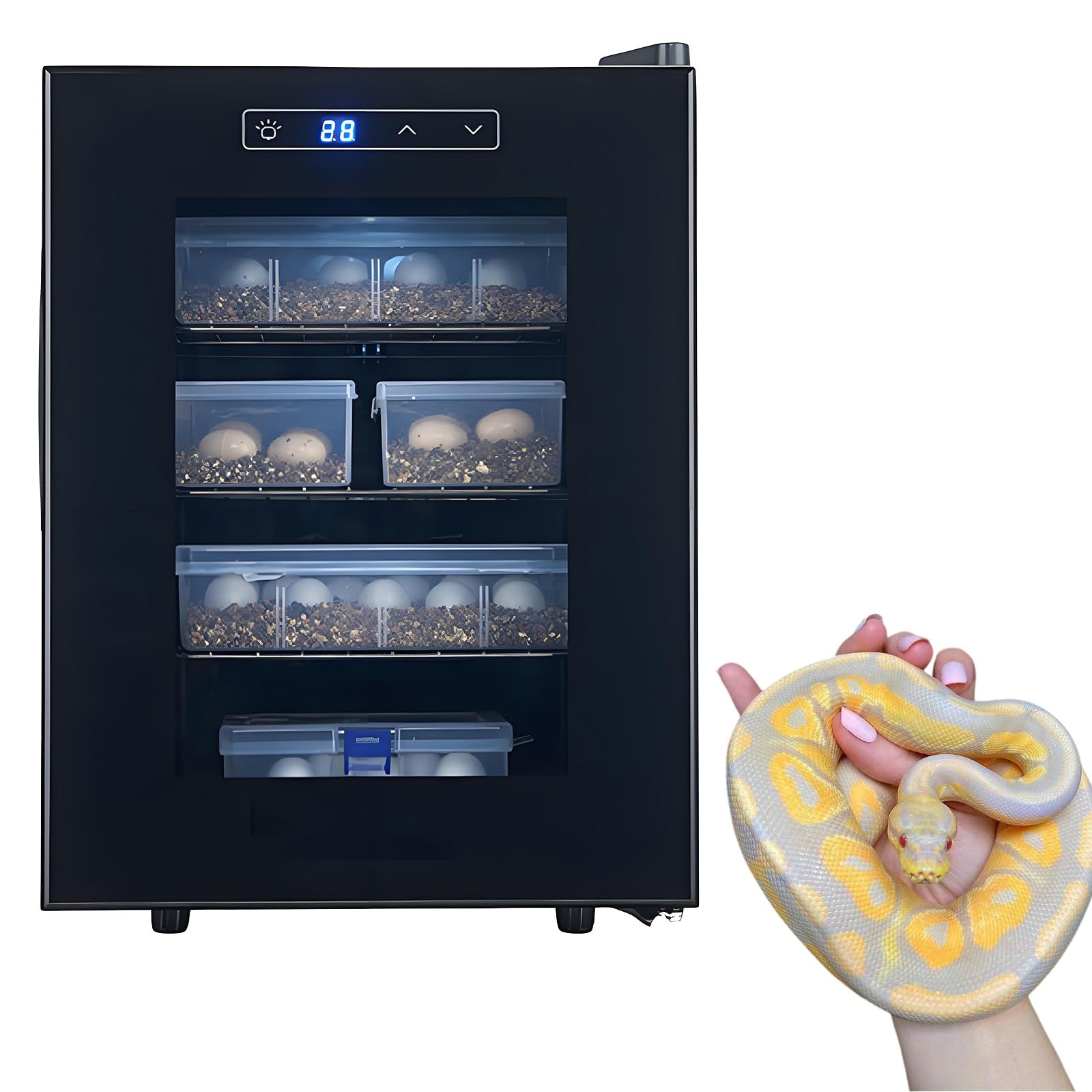 23L/33L/49L Reptilien Ei Inkubator, 10-40℃ Einstellbare Temperatur, Brutautomat Vollautomatisch mit LED-Bildschirm, Lab Incubator für Wasserschildkröten, Eidechsen, Schlangen 33L(8.7GAL)