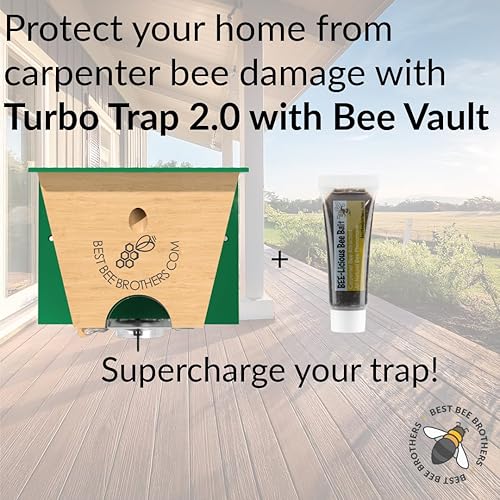 Miniatura 3 de Best Bee Brother Turbo Trap 2.0, trampa para abejas carpinteras de grado profesional para exteriores con bóveda de abejas, gran ventana y puerta con