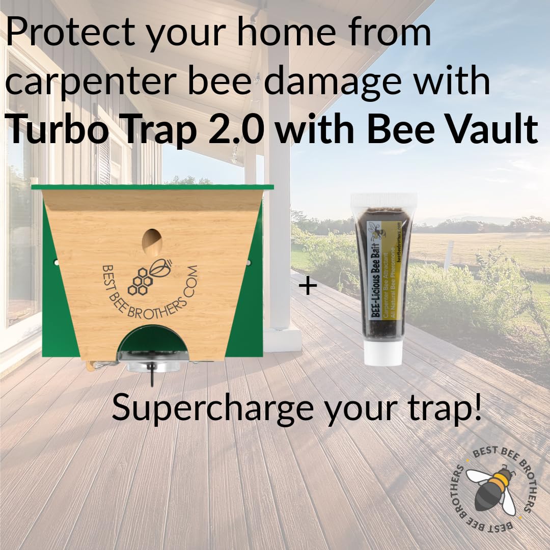 Amazon.com : Best Bee Brothers Turbo Trap 2.0, Professional-Grade