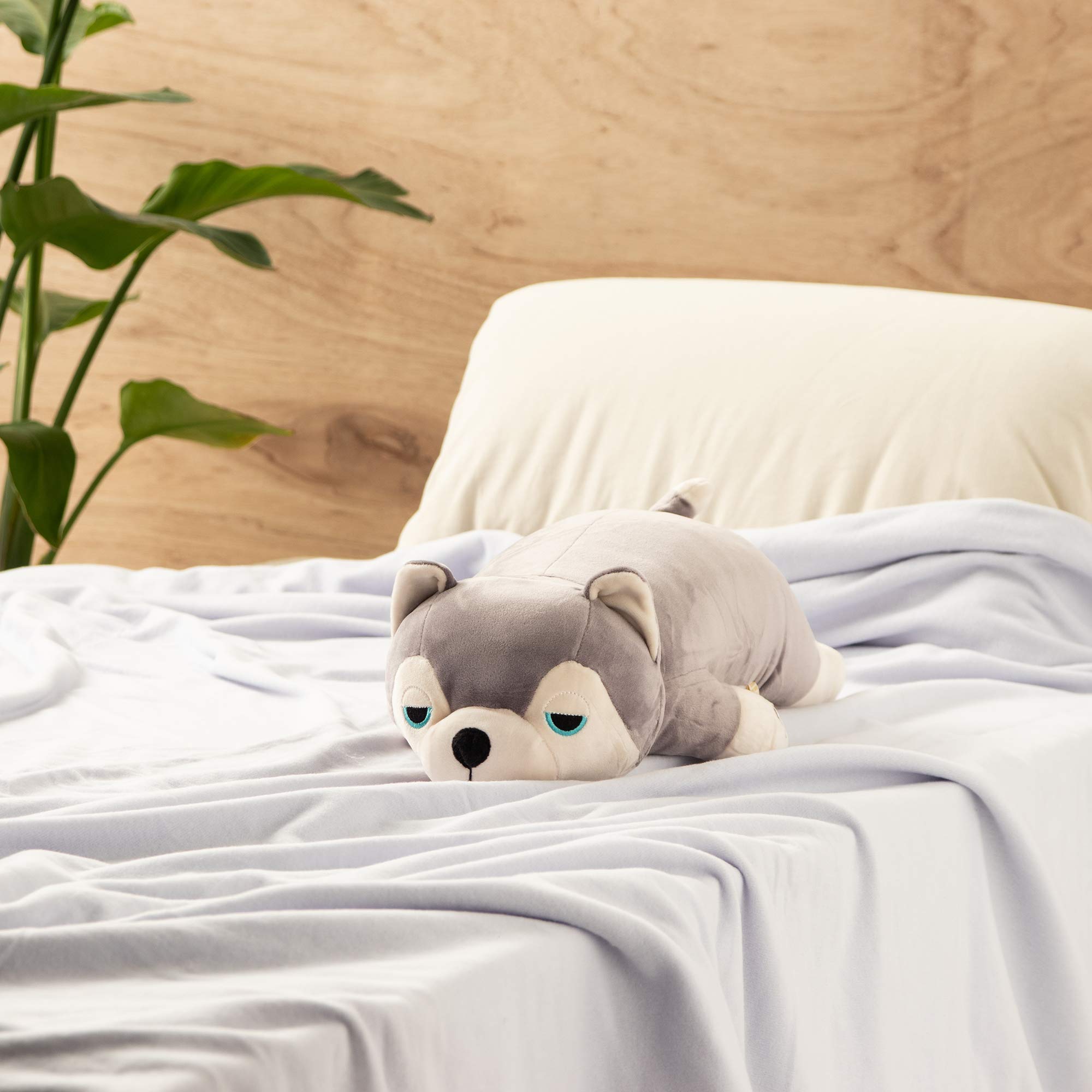 Amazon｜りぶはあと 抱き枕 プレミアムねむねむアニマルズ ハスキー犬 