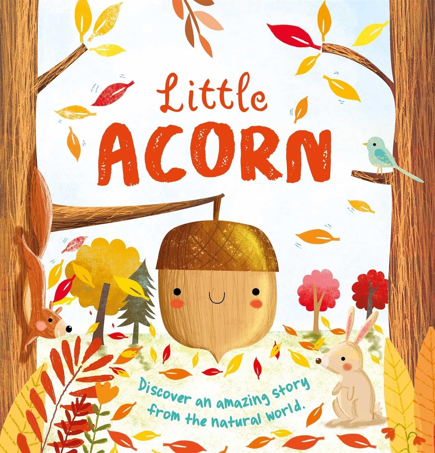 Nature Stories: Little Acorn: Padded Board Book