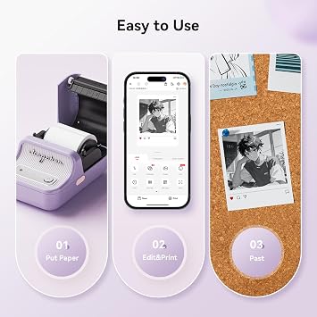 NIIMBOT B21 Pro Sticker Maker Machine for DIY Craft with 2 Roll Labels