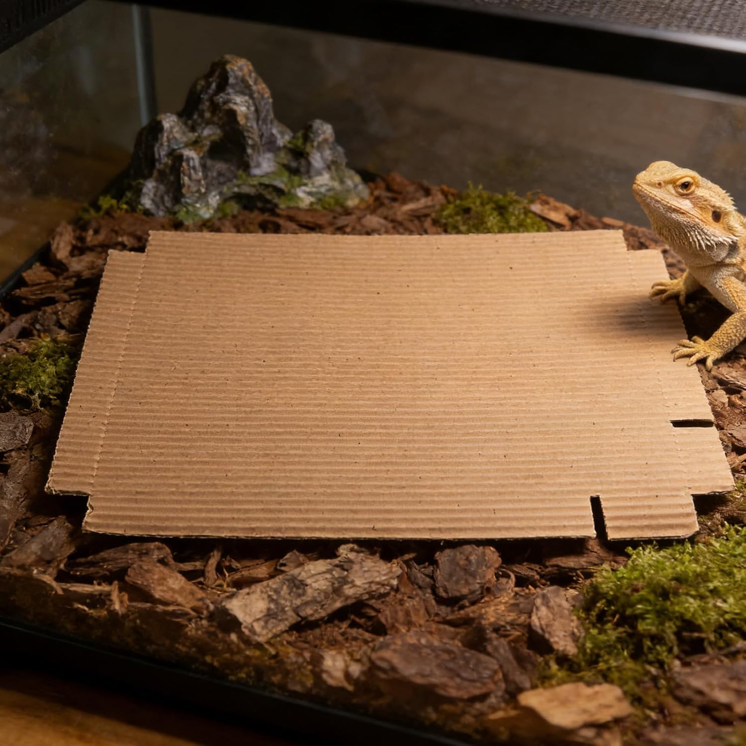 100Pcs Reptile Carpet Terrarium Liner - Corrugated Substrate Liner Cardboard 12.2x8.3 for Reptile Cage Bottom, Easy Replace Terrarium Flooring for Turtle Lizard Snake