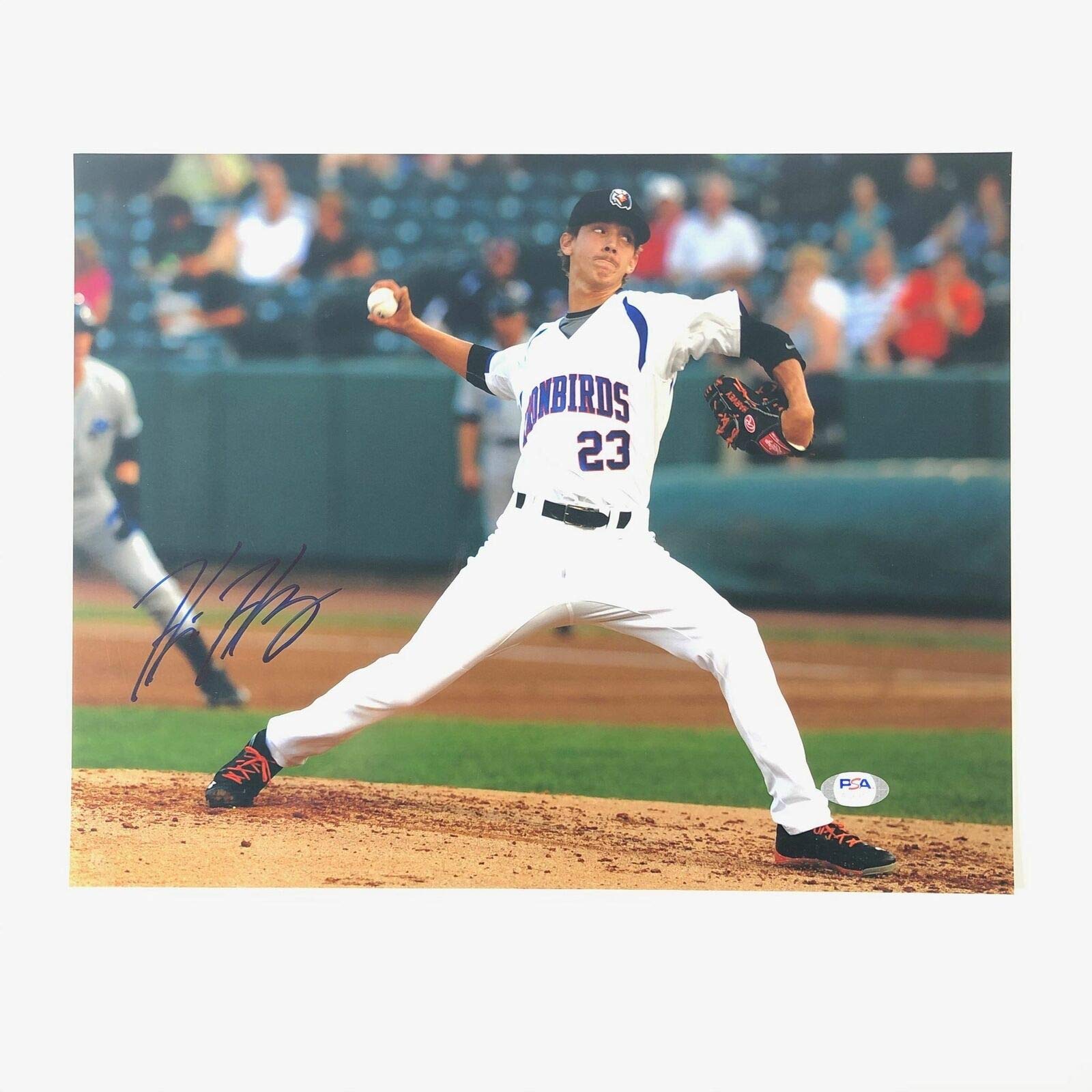 Hunter Compatible with Harvey signed 11x14 Photo PSA/DNA Ironbirds autographed Orioles