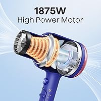 Vista 62 de Wavytalk Secador de pelo, secador de pelo iónico soplado para cabello rizado con difusor, secador de secado rápido de 1875 W con tecnología