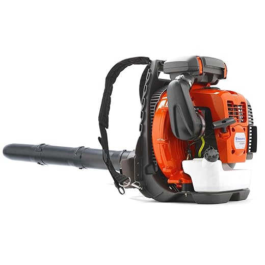 570BTS 66cc Professional Backpack Blower