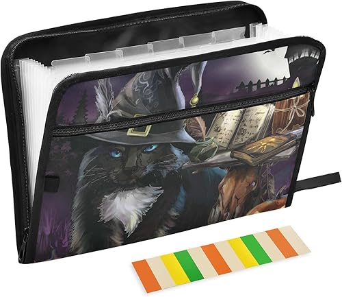 VIGTRO Carpeta expandible de 13 bolsillos con diseño de bruja de gato de Halloween, impermeable, con etiquetas adhesivas, Jack-o-Lantern con letras
