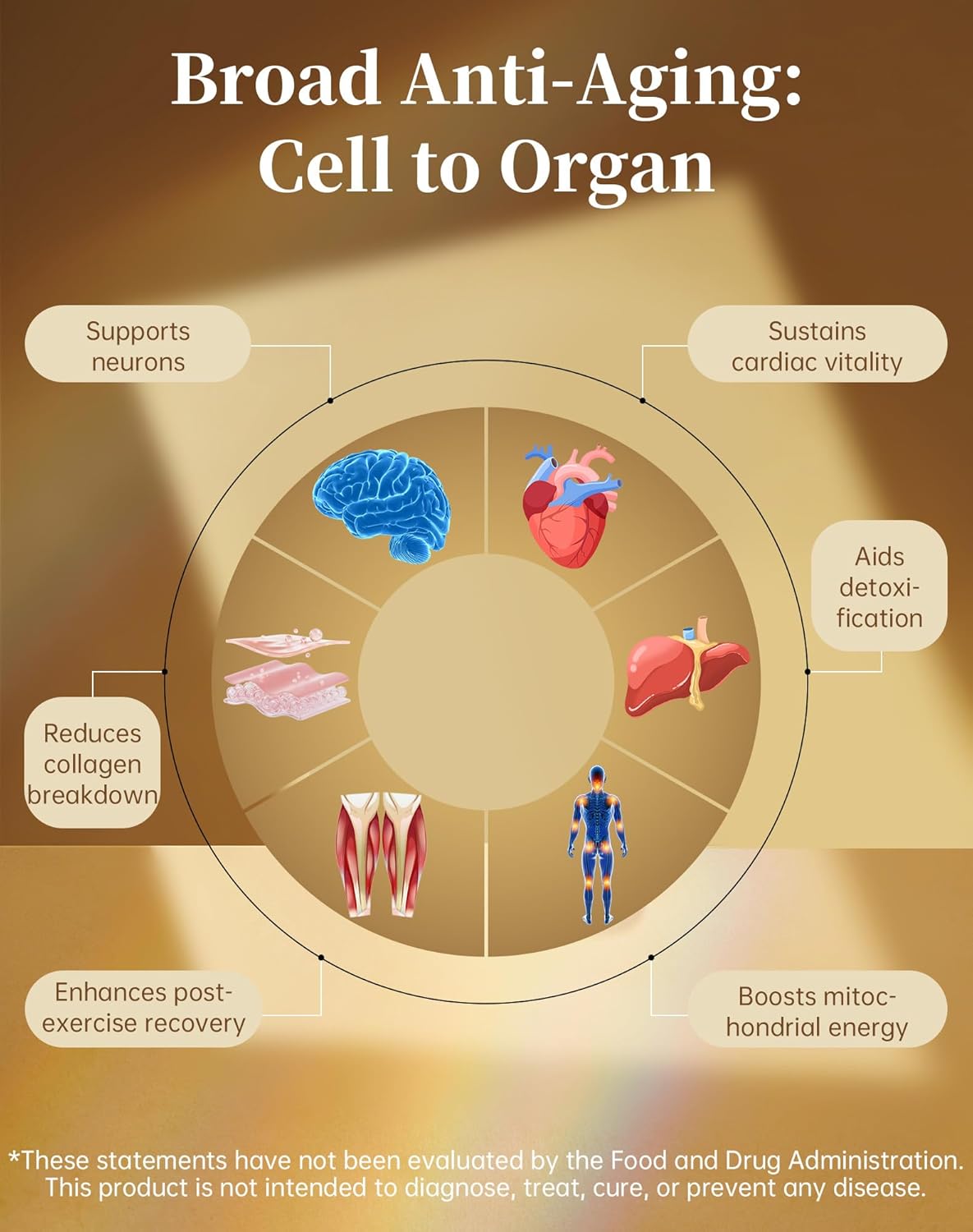 MARSTA Liposomal Resveratrol Supplement 1000mg Organic - Compatible with NAD+ for Cellular Energy & Anti-Aging, Supports Focus & Stamina, Non-GMO & Gluten-Free, 90 Capsules - Image 5