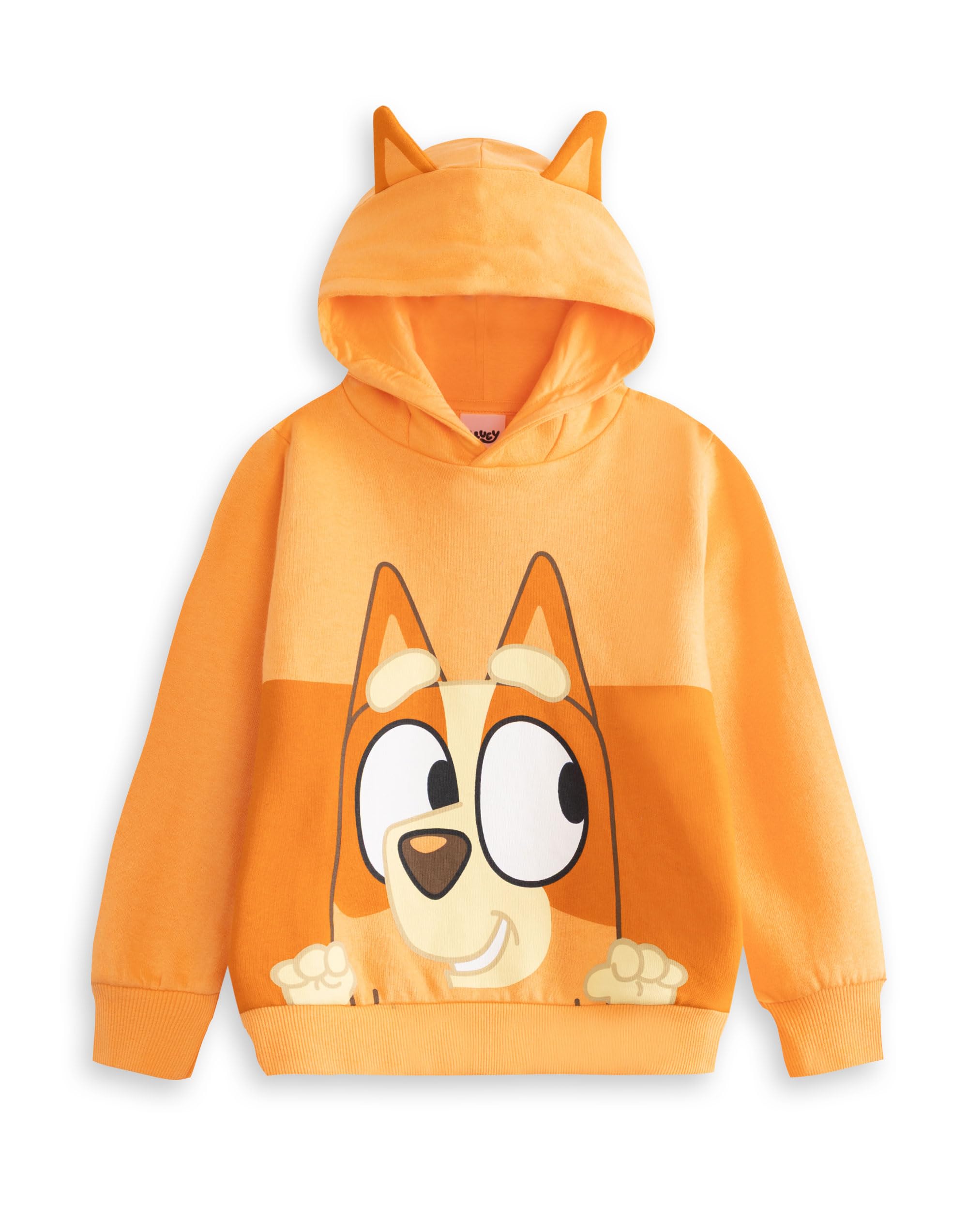 Bluey - Hoodie - Kids - 18-24 m - Orange