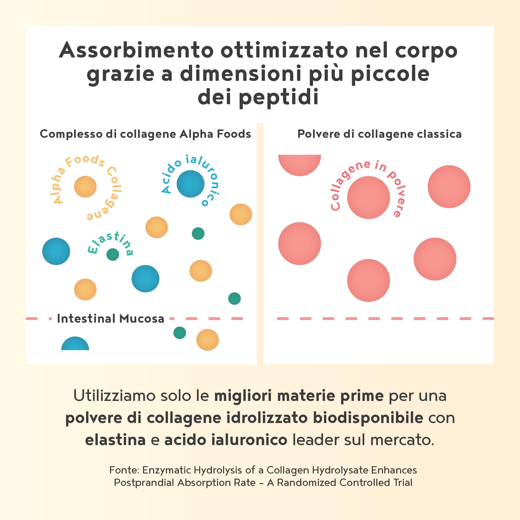 Collagene in Polvere | Collagen Peptides Idrolizzato Puro con Acido Ialuronico | Integratore Collagene da Bere | Colageno Donna e Uomo | Non Aromatizzato | 2x 400g | Alpha Foods