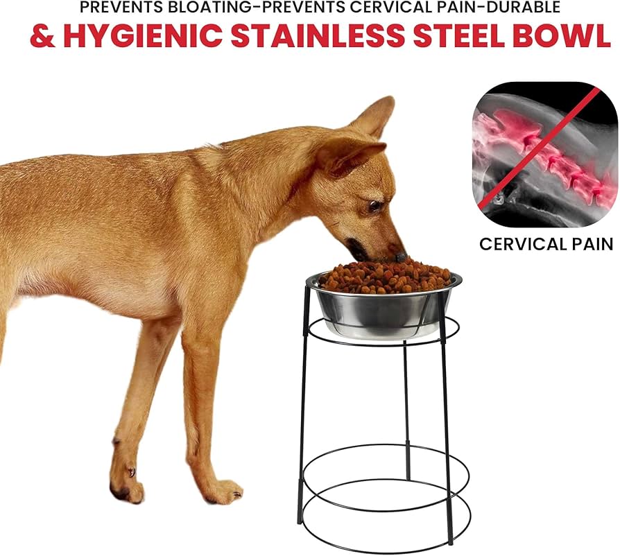 Elevated Dog Feeder, Stainless Steel, Single Bowl,, 57 OFF
