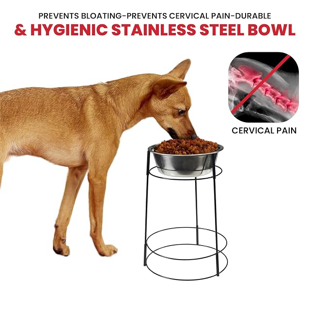 Foto 6 de 8 de Hi-Rise Single Diner 2 QT thical Pet 5857E