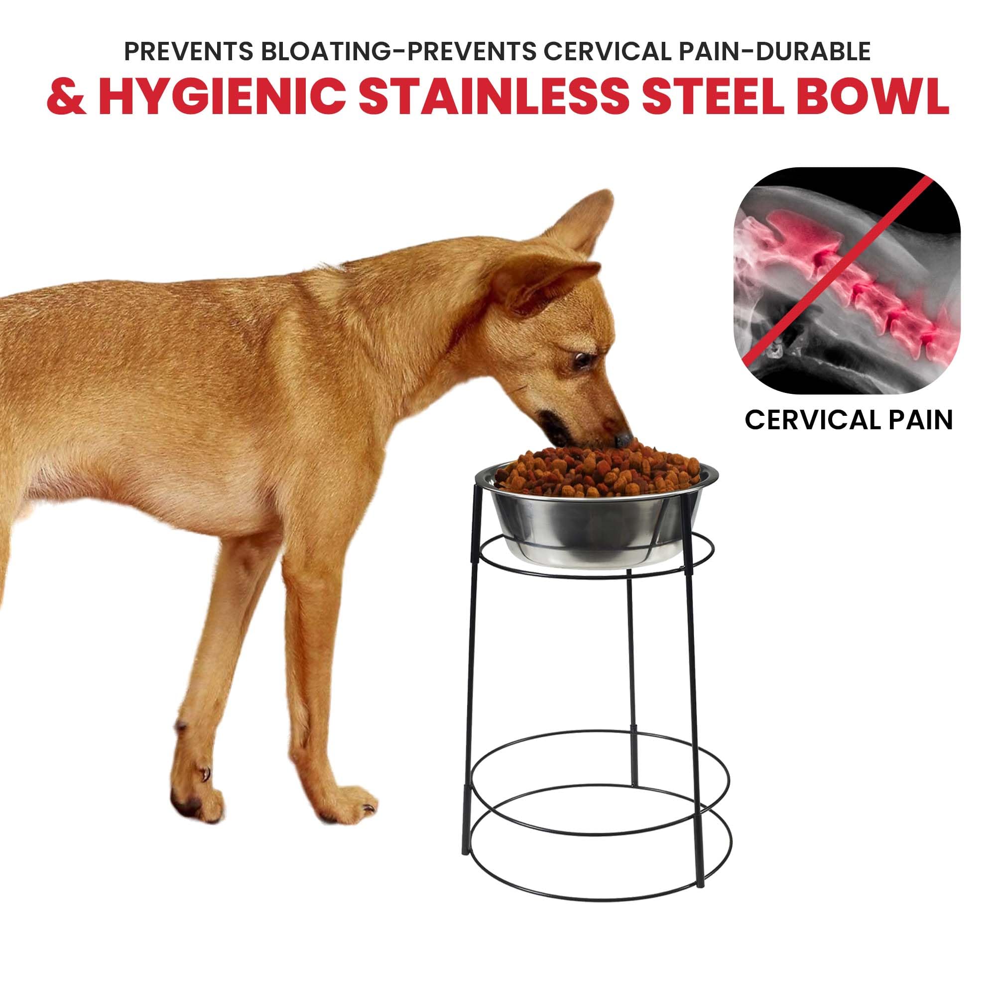 Hi-Rise Single Diner 2 QT thical Pet 5857E