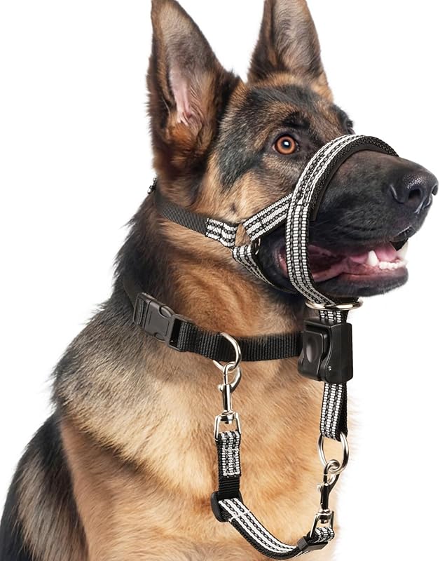 No Pull Dog Head Collar for Gentle Training Walking, Head Halter | Soft Padded with Collar Safety Clip, Comfortable Fit Muzzle Leash with Reflective Strap for Medium Large Dog Grey, M