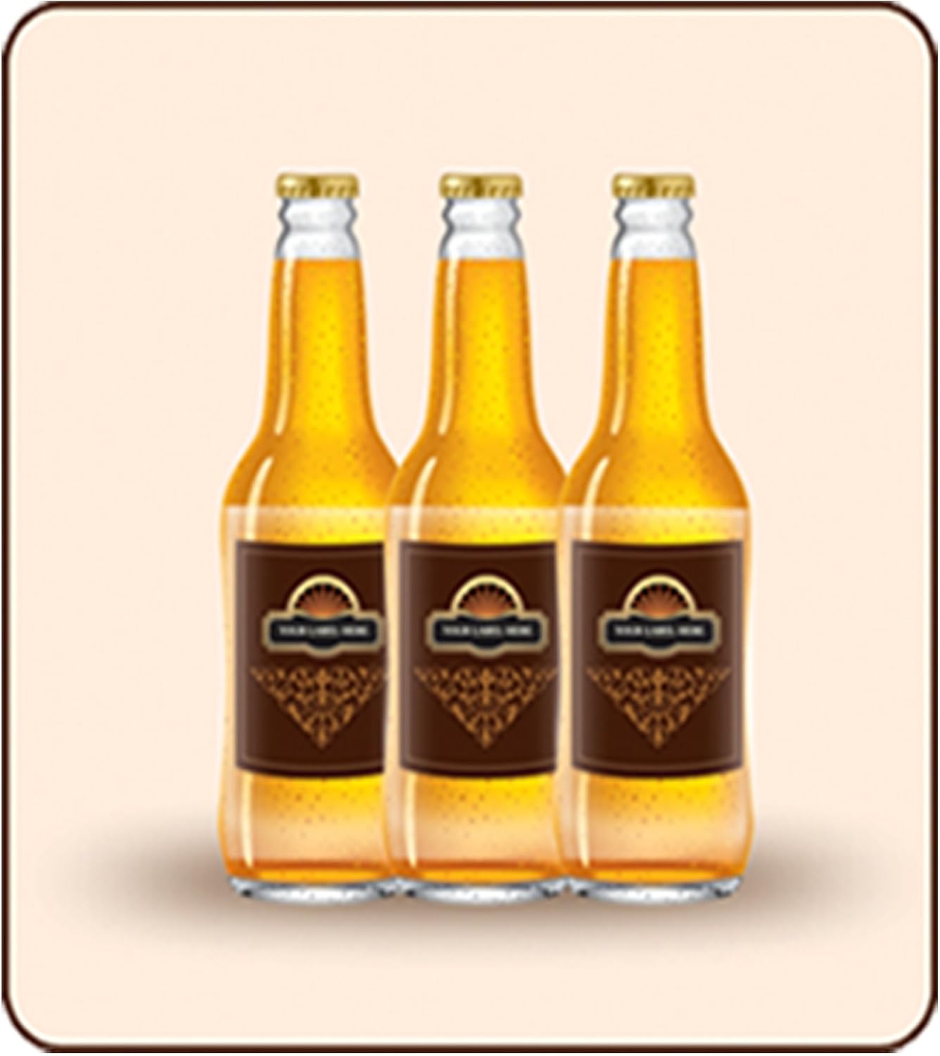 FastLabel Fermentation Accessories - Standard 12oz Beer Bottle Labels - Never Scrub a Bottle Again Brought to You by FastFerment (Pack of 2)