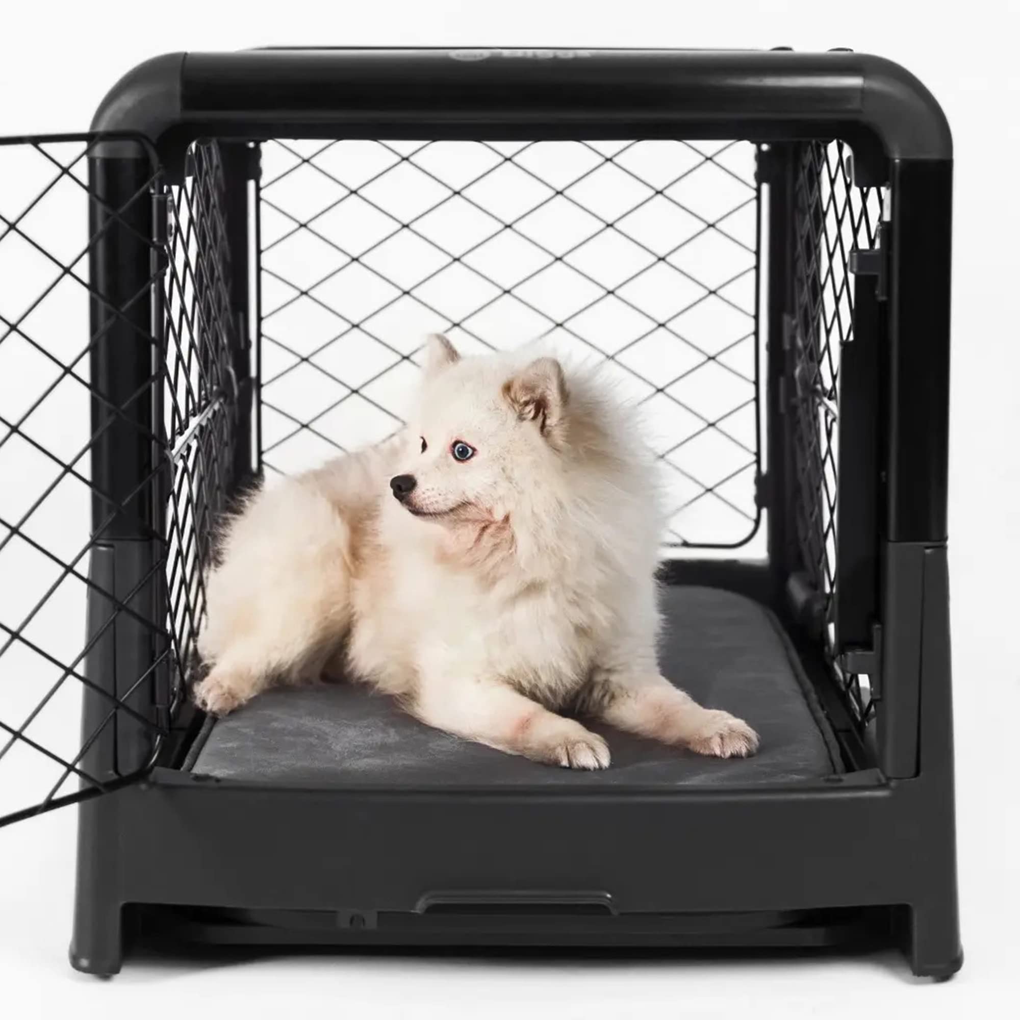 Buy Diggs Revol Dog Crate (Collapsible Dog Crate, Portable Dog Crate